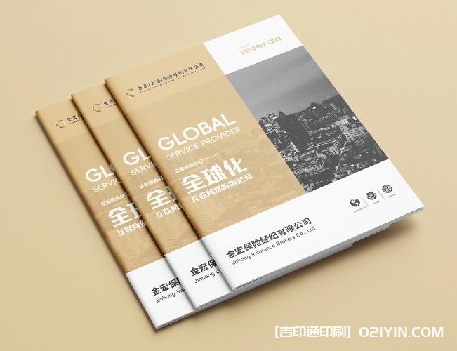 金融保險行業(yè)畫冊設(shè)計(jì)印刷